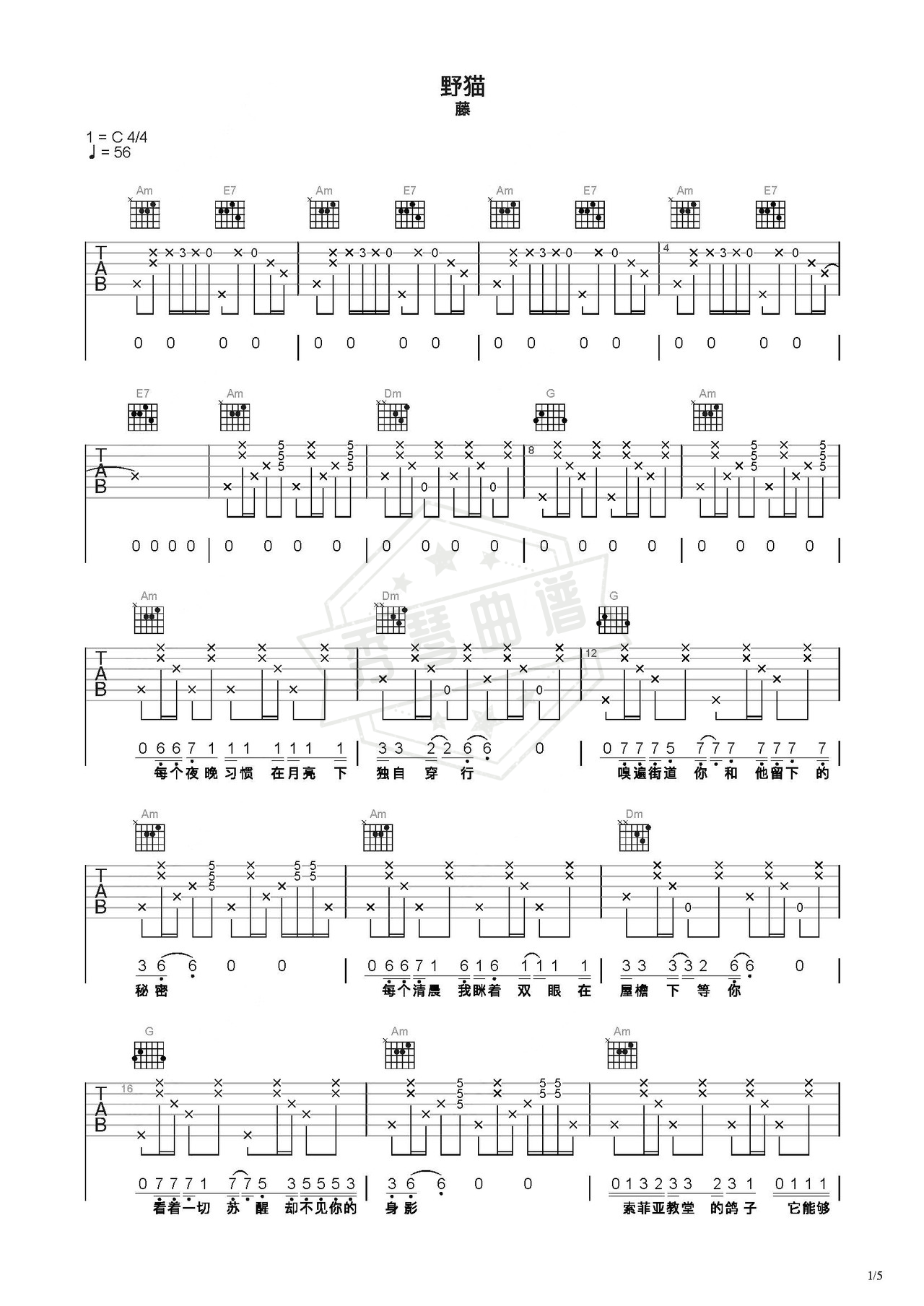 《野猫》吉他简谱C调弹唱谱（藤）-秀琴曲谱网