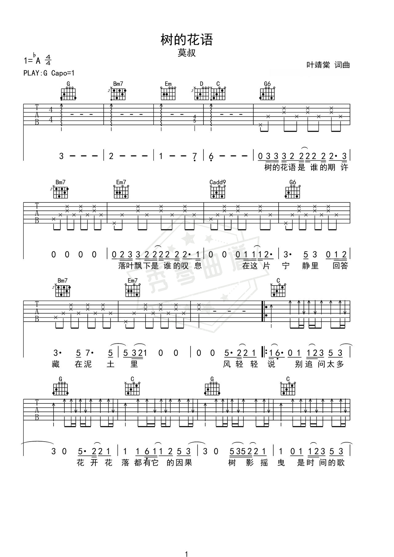 《树的花语》吉他简谱G调弹唱谱（莫叔）-秀琴曲谱网