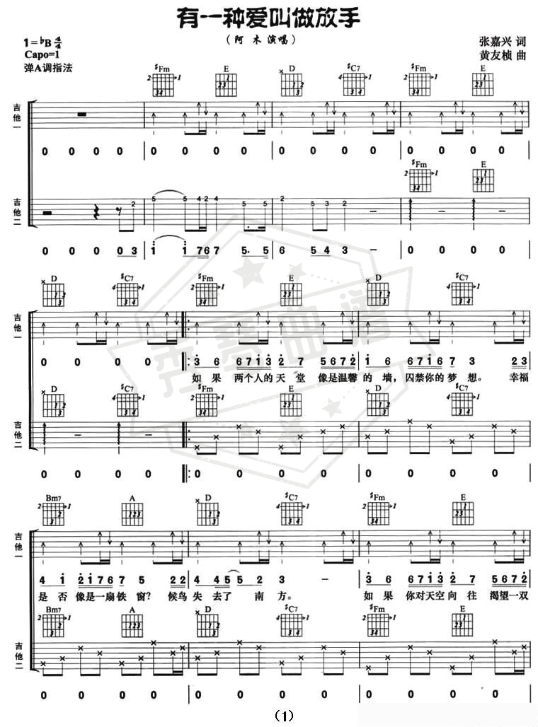 有一种爱叫做放手（双吉他）-秀琴曲谱网