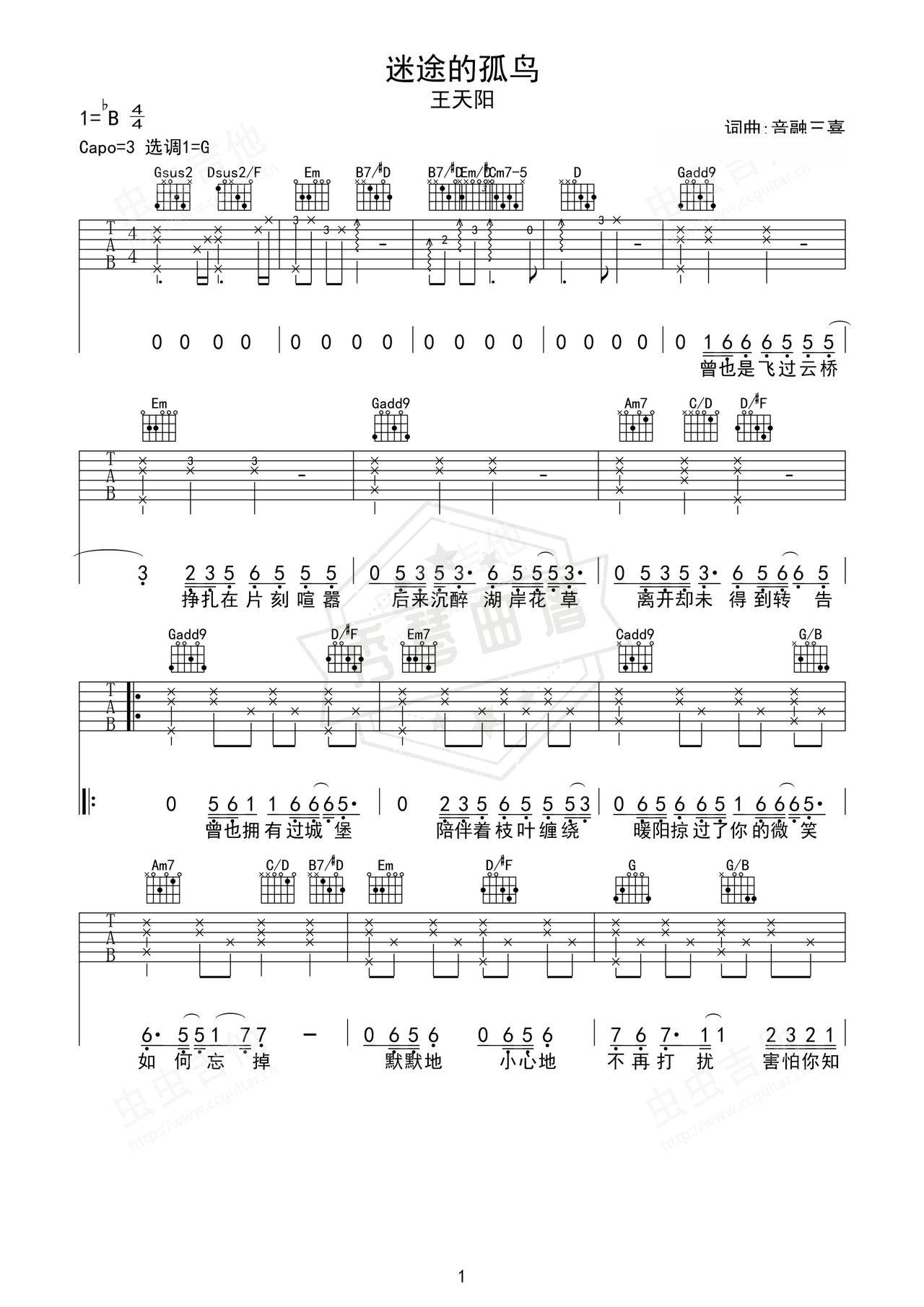 《迷途的孤鸟》吉他简谱G调弹唱谱（王天阳）-秀琴曲谱网